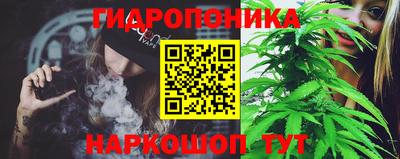 шишки Гусь-Хрустальный