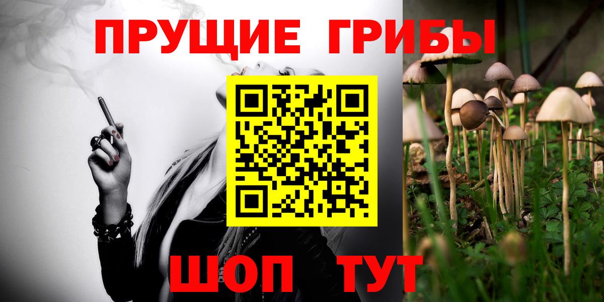 Мытищи  Галлюциногенные грибы ЛСД  Галлюциногенные грибы GOLDEN TEACHER  Вход с VPN 