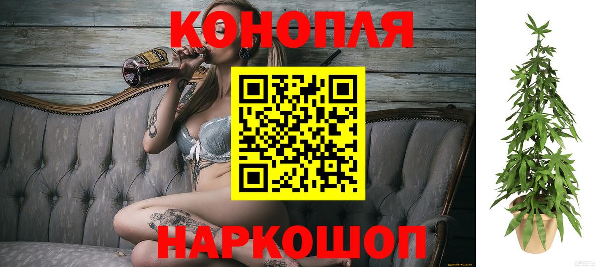Канабис сатива Мытищи